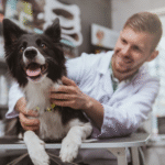 Woofapps: Revolutionizing Pet Care in the Digital Age