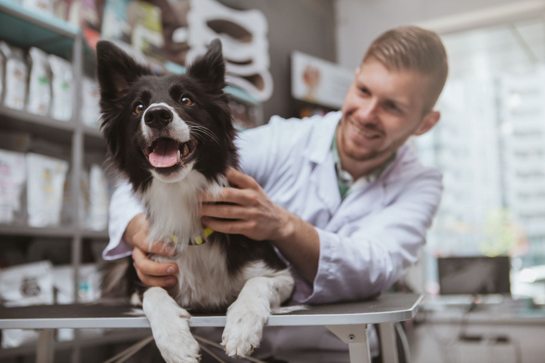 Woofapps: Revolutionizing Pet Care in the Digital Age